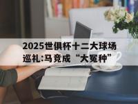 星空体育APP-2025世俱杯十二大球场巡礼:马竞成“大冤种”的简单介绍